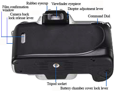 Nomencluture Nikon F65 rear.jpg