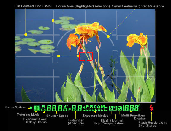 mapviewinfoD100.jpg
