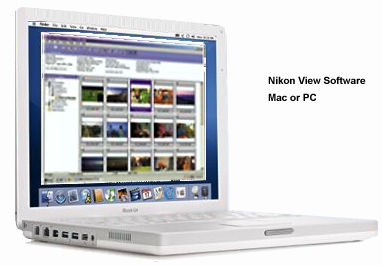 nikonview.jpg