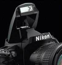 popupflash.gif