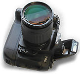 NikonF80FaceupAmdm.jpg