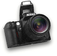F80popflash.jpg