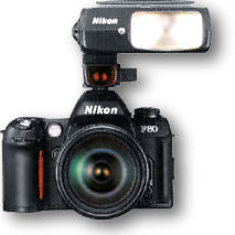 F80flashfront.jpg