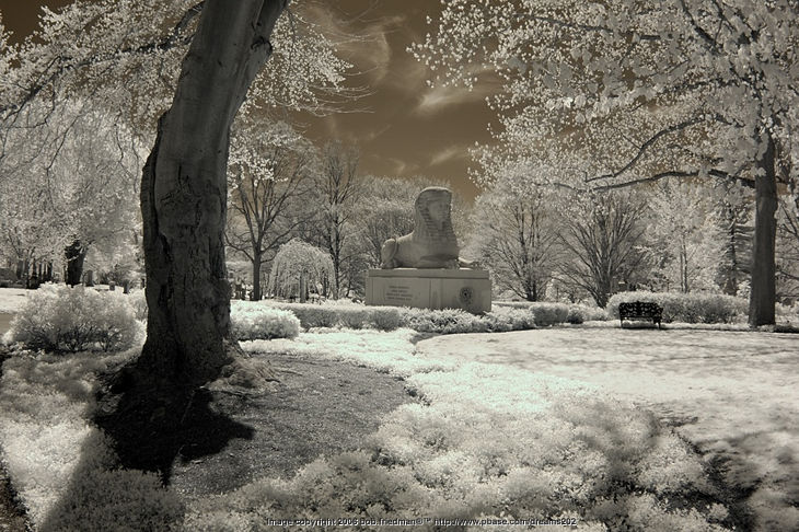 A photo by bob.friedman on Mt. Auburn Cemetery, Cambridge, Massachusetts Nikon D70, Nikkor 16mm f/2.8D AF Fisheye
