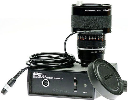 A beautiful image by Photocreative.jpg (39k) Loading ......
