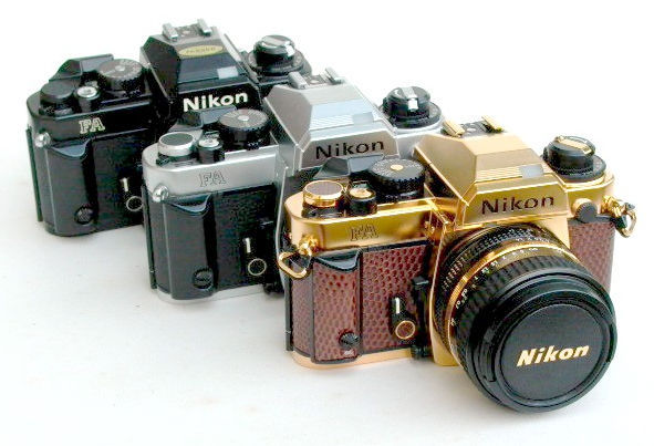 P1000879.jpg