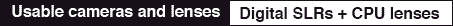 headerB.gif