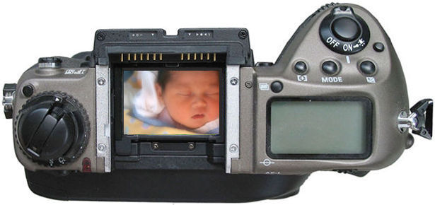 fullscale.jpg with Kenny's new love ..