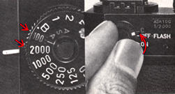 Dial/.jpg