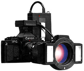 Macro Flash.jpg (13k) Loading..
