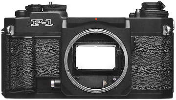 Body Front.jpg (21k)