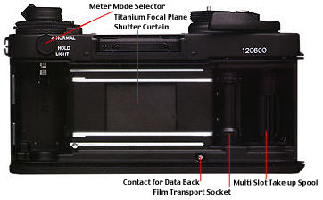 Back View.jpg