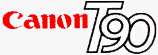 t90logo.gif