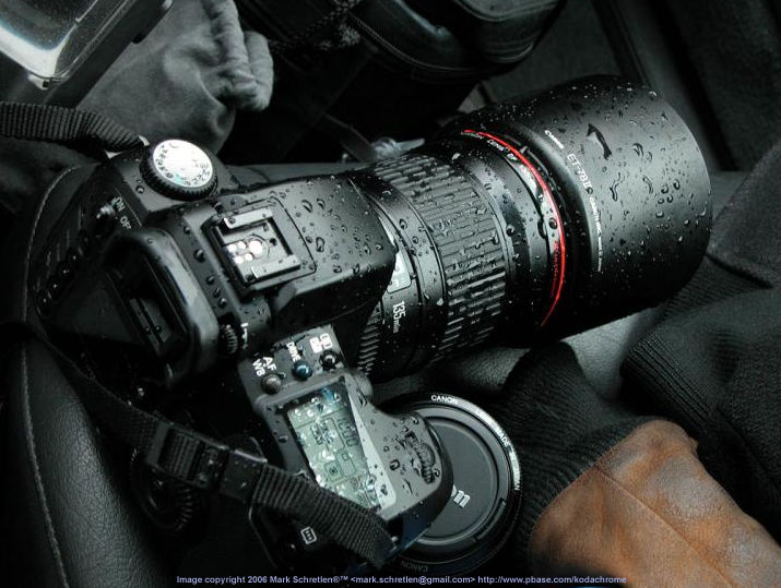 Canon EF 135mm f/2.0L Telephoto lens with Canon D60 by Mark Schretlen