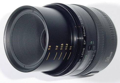 Canon EF 50mm f/2.5 at extension...43k jpeg loading ...