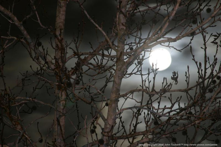 Black moon rising .. by John Tucker