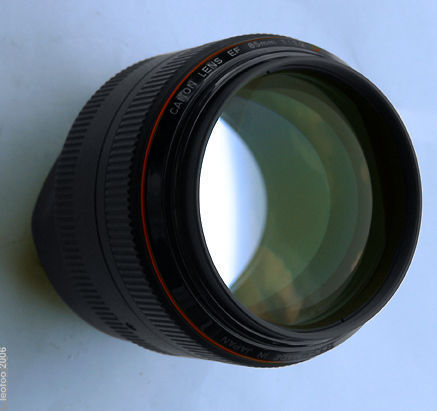 Canon EF 85mm f/1.2L view