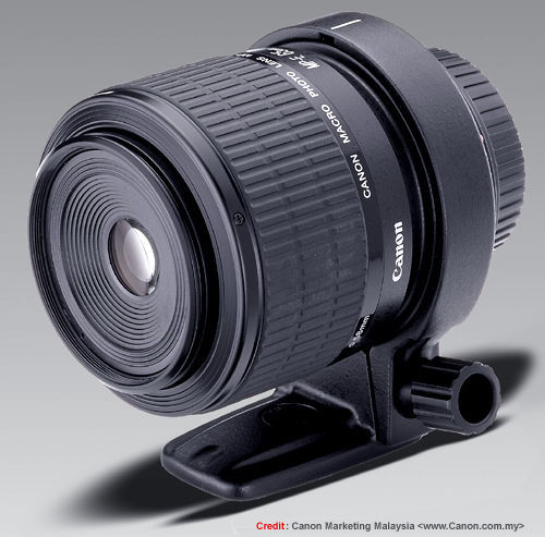 Canon MP-E 65mm f/2.8 MACRO PHOTO lens by Canon Marketing Malaysia for Photography in Malaysia (PIM)