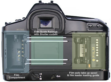 Canon EOS-1N film transport