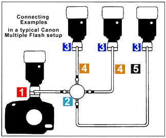 canon_multiple_flash.gif