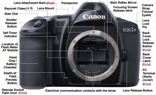 Canon EOS-1N Features Explained