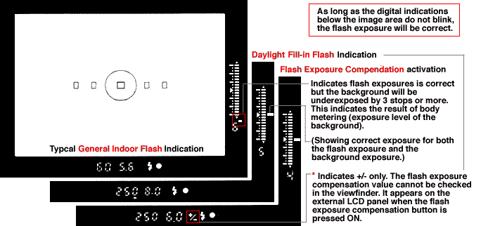 Flash photography viewfinder display on various flash modes
