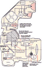 620diaphgm.gif