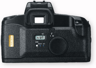 backview.jpg
