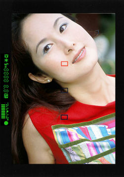 EOS50EElanIIEViewinfo2.jpg