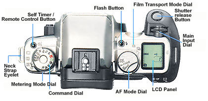 mapeos50topview.jpg