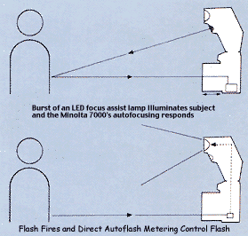 flashuillus.gif