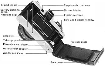 Back View.jpg (18k)
