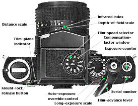 Map TopView.jpg (20k)