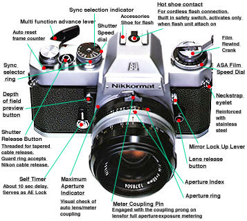 Front View.jpg (23k)