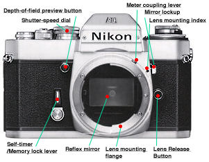 EL2 Front View.jpg (21k)