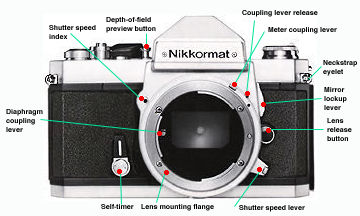 Front view.jpg (22k)