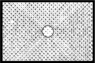 Type H Screen.gif