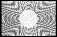 Type B Screen.gif