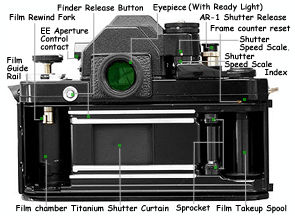 F2S back.jpg (12k) Loading..