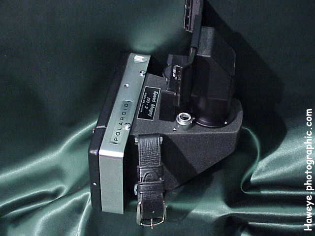 nikpolaback3.jpg (42k) Loading......