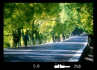 Along the Highway.jpg