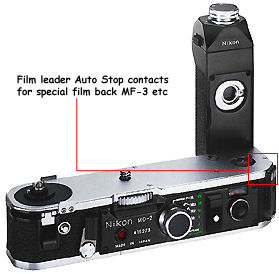 Backviewillus.jpg (19k) Loading..