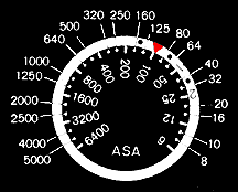Film Speed.gif