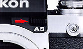 dp12couple1.jpg