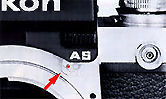 dp12couple2.jpg