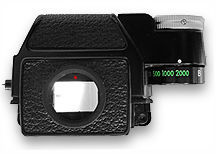 dp11back.jpg