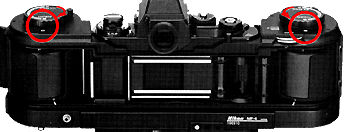 Back View.jpg