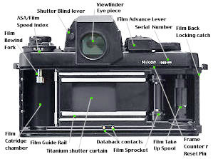 Nikon F3 Back View.jpg (20k)