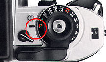 Pix8.jpg