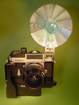 nikonFbc7.jpg (29k) Loading ...